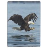 Adler auf Ansatz Klemmbrett (Rückseite)