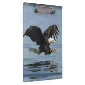 Adler auf Ansatz Klemmbrett (Rechts)