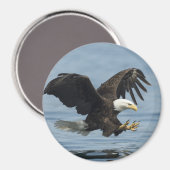 Adler auf Ansatz Magnet (Vorderseite/Rückseite)