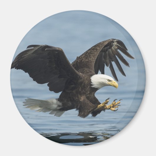 Adler auf Ansatz Magnet (Vorne)