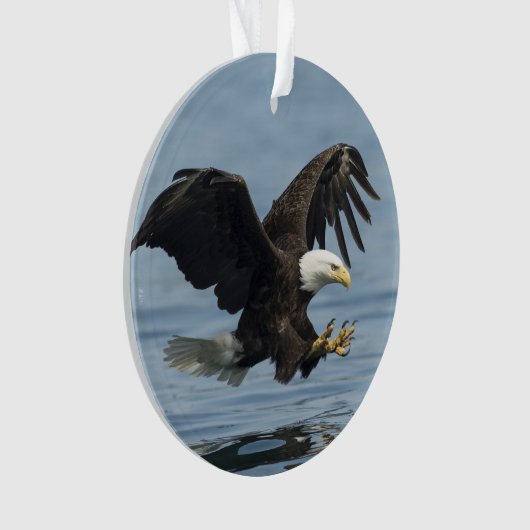 Adler auf Ansatz Ornament (Vorderseite)