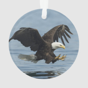 Adler auf Ansatz Ornament