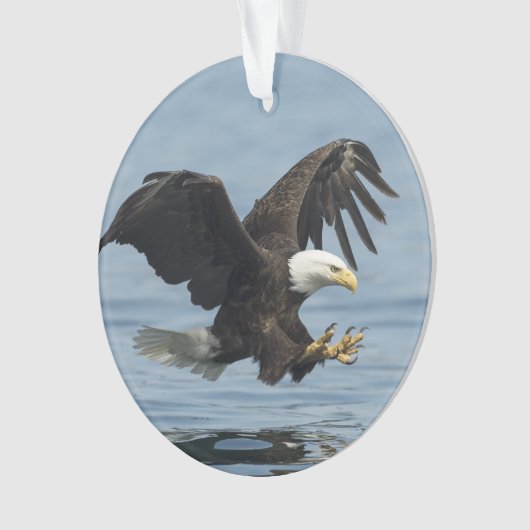 Adler auf Ansatz Ornament (Vorderseite)