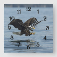 Adler auf Ansatz