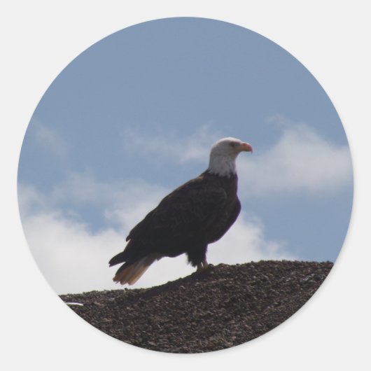Adler auf Aufklebern Runder Aufkleber (Vorderseite)