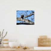 Adler auf Zweig Poster (Küche)