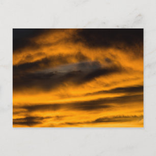 Adler-Ausbrennen Postkarte