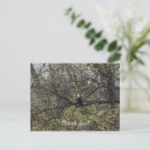 Adler Aussicht Malerisch Postkarte (Stehend Vorderseite)