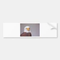 Adler