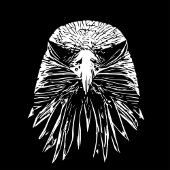 Adler Badhandtuch Set