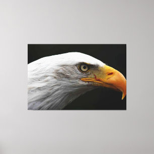 Adler Bald 60x40 (150x100cm) waccna Leinwanddruck