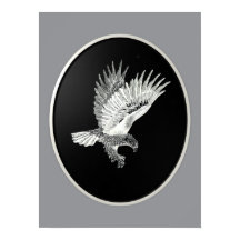 Adler bei Nacht