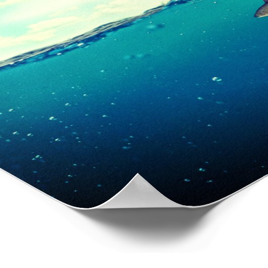 Adler, der einen Fisch fängt Poster (Ecke)