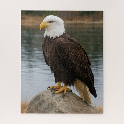 Adler der stillen Küsten Puzzle (Vertikal)