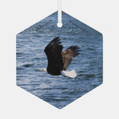 Adler, der über das Wappen fliegt Ornament Aus Glas (Rückseite)