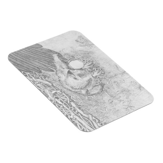 Adler E14 auf Ozzies Wing Magnet (Rechte Seite)