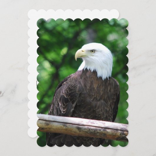 Adler Einladung (Vorne/Hinten)