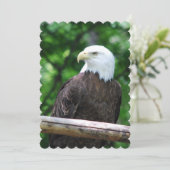 Adler Einladung (Stehend Vorderseite)