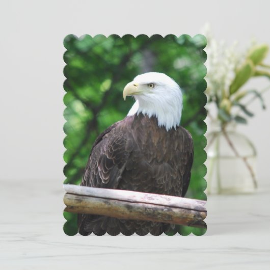 Adler Einladung (Stehend Vorderseite)