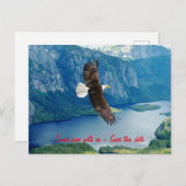Adler-Einladung Postkarte (Vorne/Hinten)