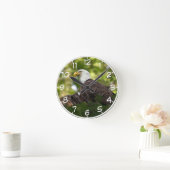 Adler-Erholung Runde Wanduhr (Zuhause)