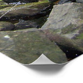 Adler Falls Poster (Ecke)