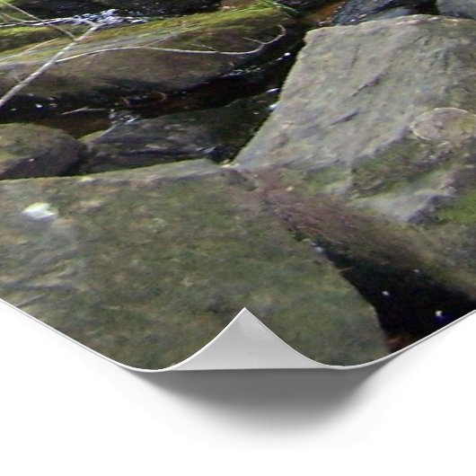 Adler Falls Poster (Ecke)