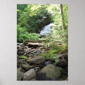 Adler Falls Poster (Vorne)