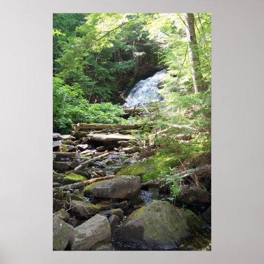 Adler Falls Poster (Vorne)