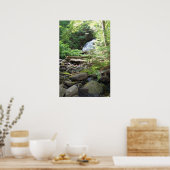 Adler Falls Poster (Küche)