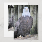 Adler Feiertagskarte (Vorne/Hinten)