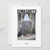 Adler Feiertagskarte (Rückseite)