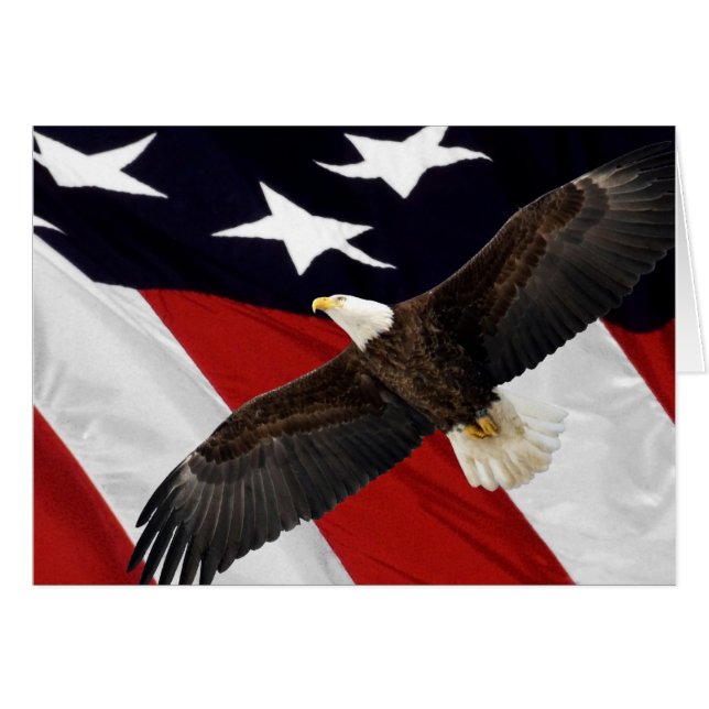 Adler fliegt über amerikanische Flagge (Vorderseite (Horizontal))