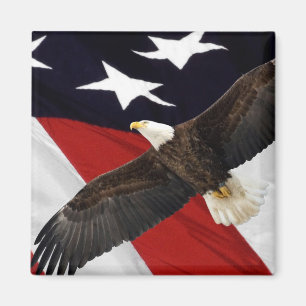 Adler fliegt über amerikanische Flagge Magnet