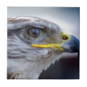 Adler Fliese (Vorderseite)