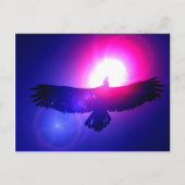 Adler Flüge - Adler Postkarte (Vorderseite)