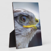 Adler Fotoplatte (Seite)