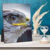 Adler Fotoplatte (Seite)