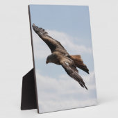 Adler Fotoplatte (Seite)