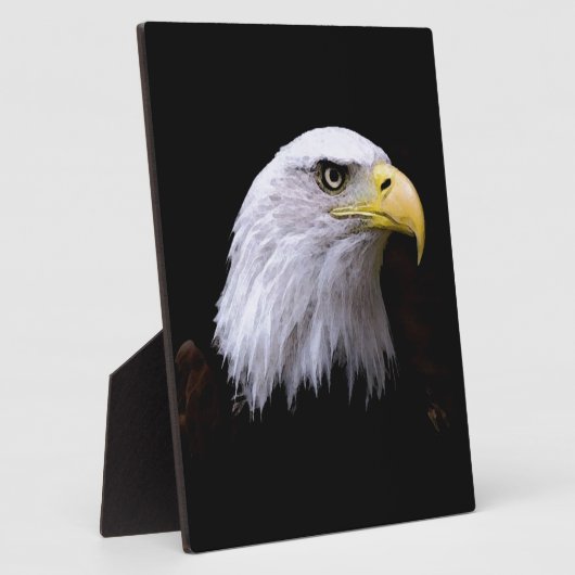 Adler Fotoplatte (Seite)