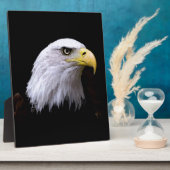 Adler Fotoplatte (Seite)