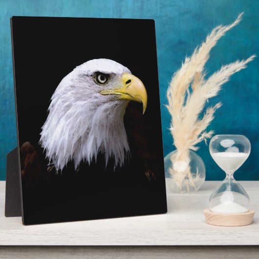 Adler Fotoplatte (Seite)