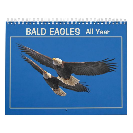 Adler ganzjährig kalender (Titelbild)