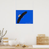 Adler gegen einen blauen Himmel Poster (Küche)