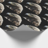 Adler Geschenkpapier (Ecke)