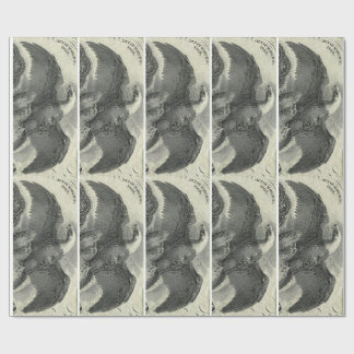 Adler Geschenkpapier