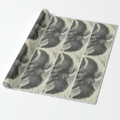 Adler Geschenkpapier (Ungerollt)