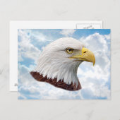 Adler Head - Postkarte (Vorne/Hinten)