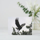 Adler heben Postkarte ab (Stehend Vorderseite)