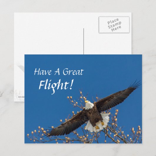 Adler hoch postkarte (Vorne/Hinten)